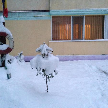 Apartament Slănic-Moldova エクステリア 写真