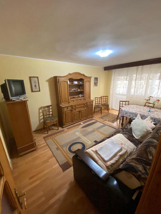 Apartament Slănic-Moldova エクステリア 写真